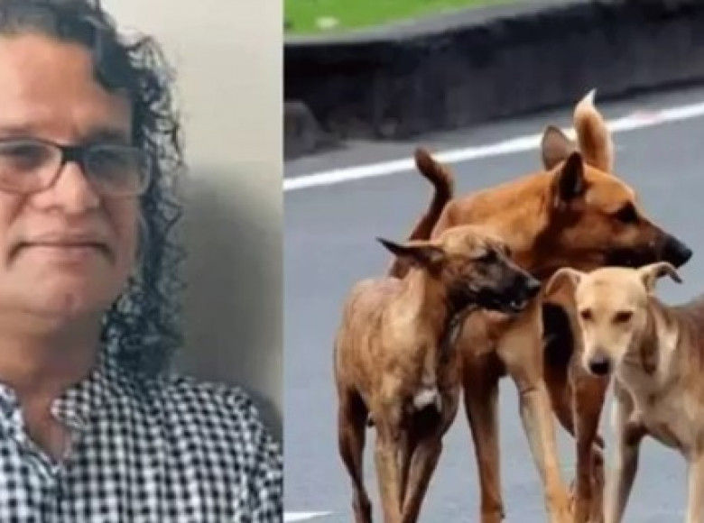 ‘പട്ടിയിറച്ചി പ്രമേഹത്തിനും ഹാർട്ട് അറ്റാക്കിനും നല്ലതെന്ന് ഡോക്ടർ പറയണം’; ഹരീഷ് പേരടി