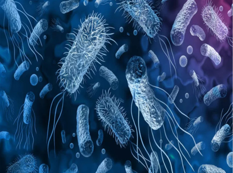 തിരുവനന്തപുരത്ത് ഒരാള്‍ക്ക് കൂടി കോളറ സ്ഥിരീകരിച്ചു