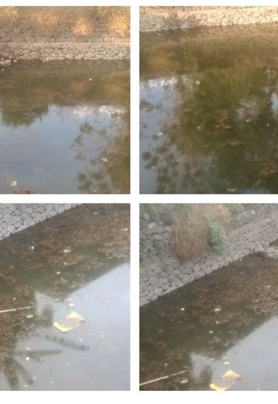 ജലസ്രോതസ്സ് മലിനമാക്കിയതായി പരാതി ; പഞ്ചായത്ത് മെമ്പർക്കെതിരെ നാട്ടുകാർ